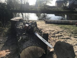Stump removal