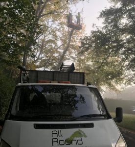 All Round Tree Care Van