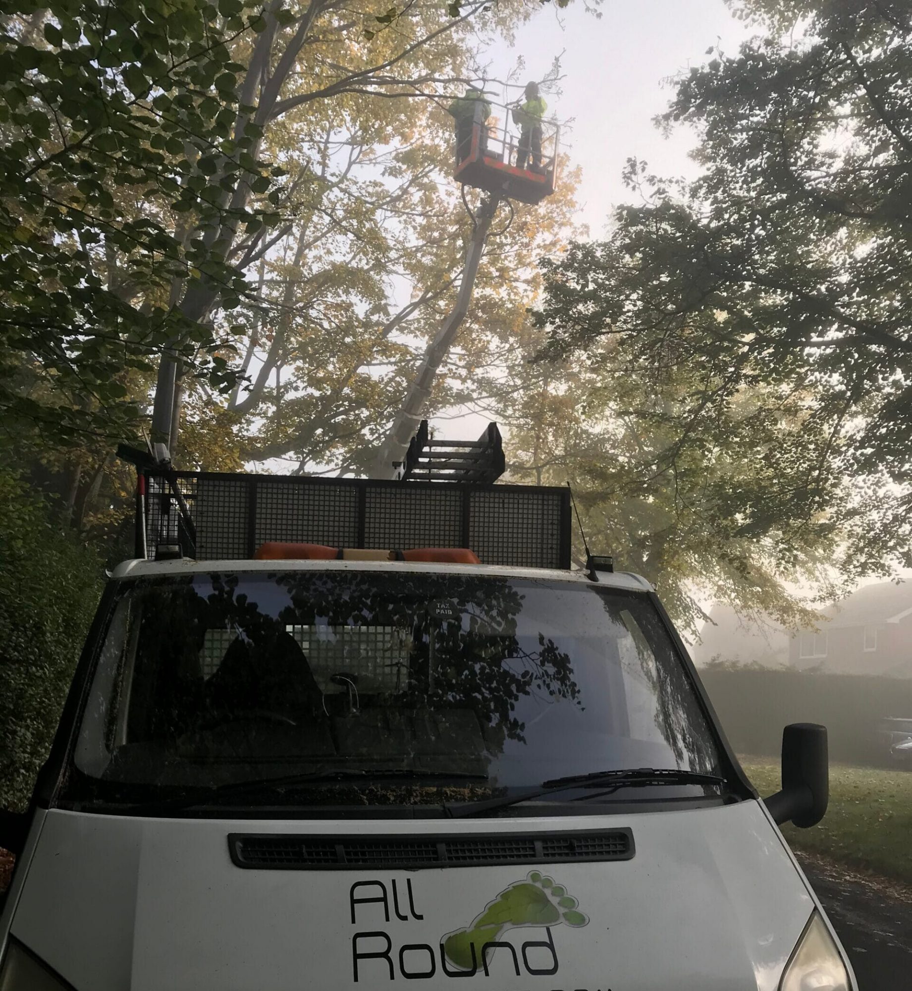 All Round Tree Care Van