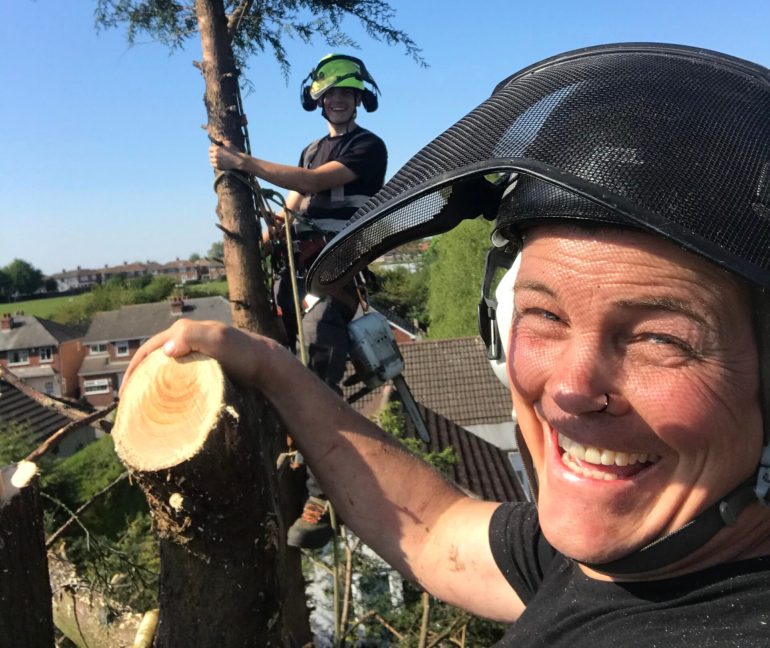 All Round Tree Care - Tree Cutting up High