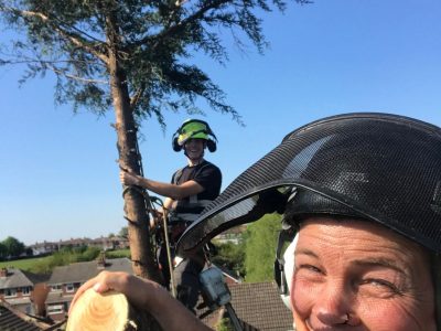 All Round Tree Care - Tree Cutting up High