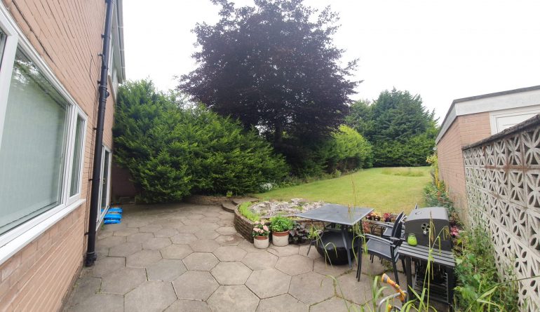 Garden before being cleared