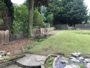 Garden after being cleared