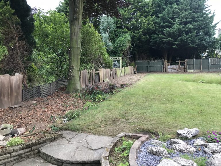 Garden after being cleared