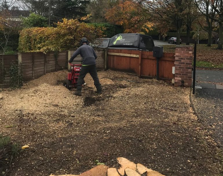 Stump removal in progress