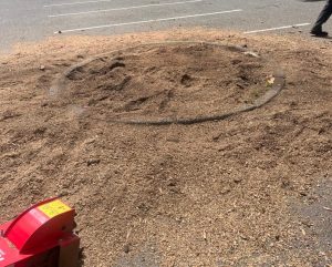 Stump removed