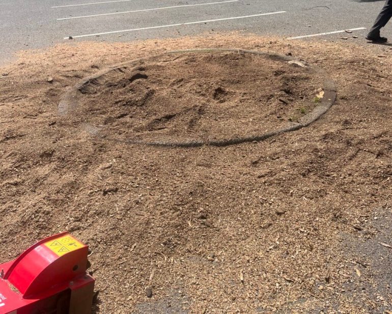 Stump removed