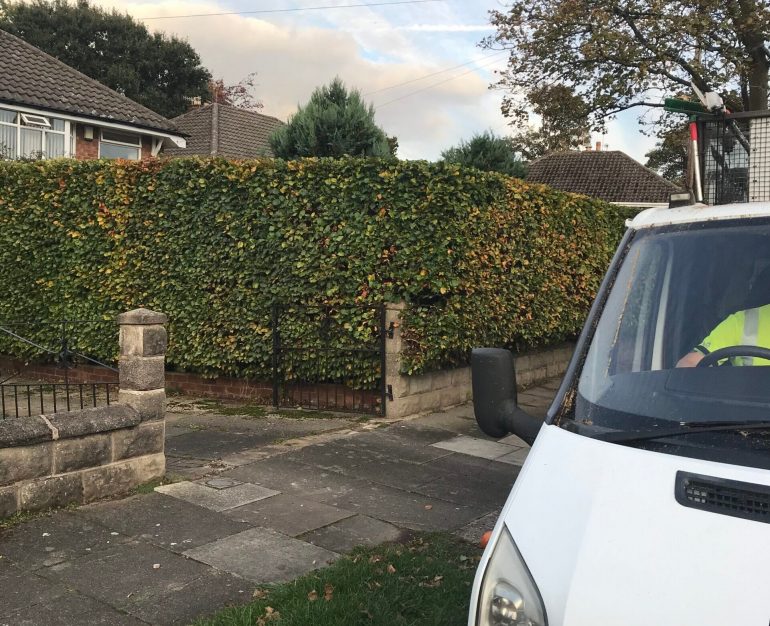 All Round Van and Trimmed Hedge