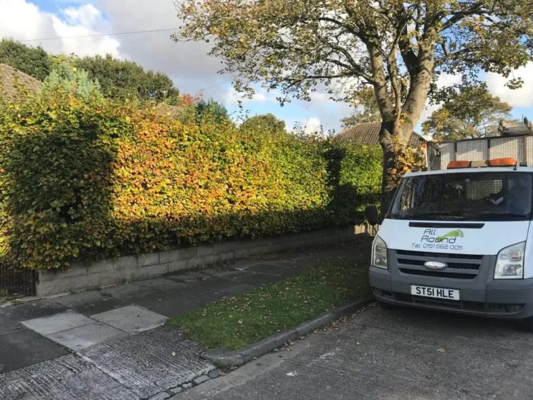 All Round Van and Trimmed Hedge